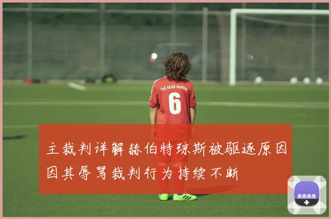 主裁判详解赫伯特琼斯被驱逐原因因其辱骂裁判行为持续不断